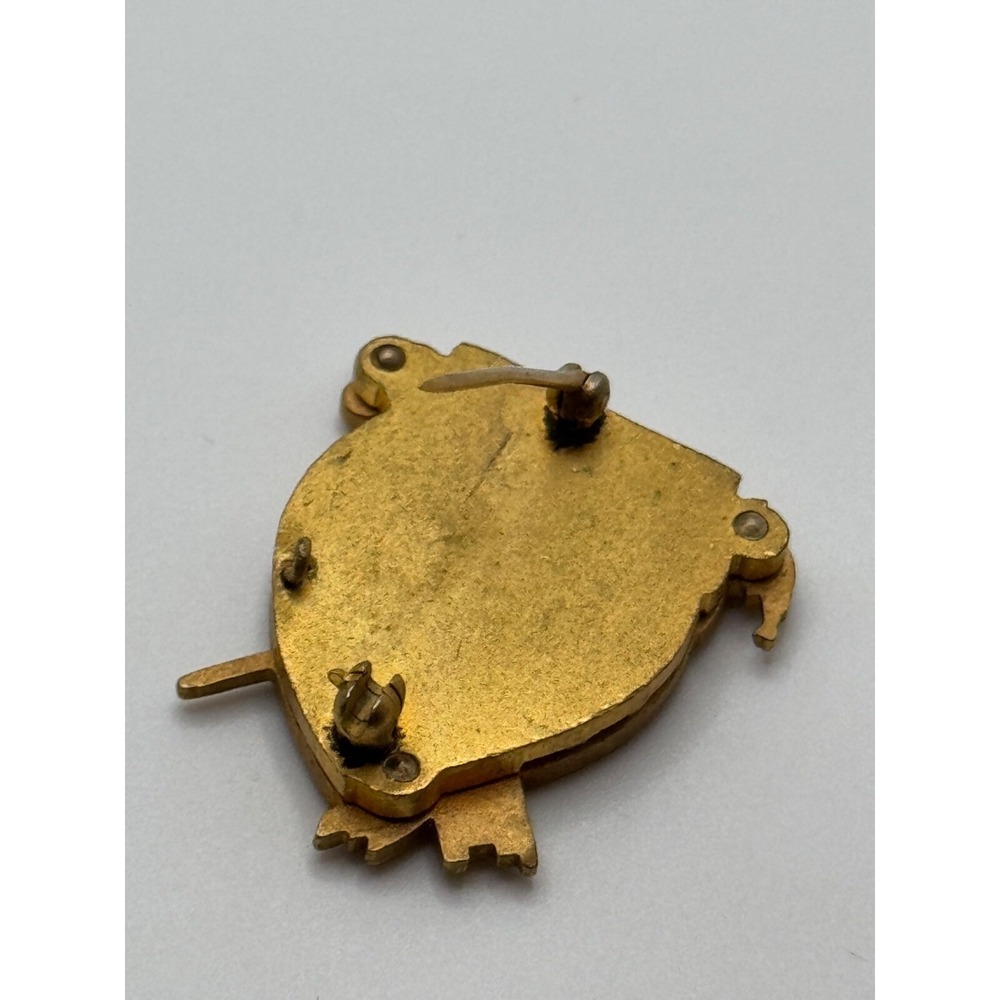 Vintage Fraternity School Opera Scientia Auctus Pulchrituoo Enamel Brooch Pin - Picture 8 of 8